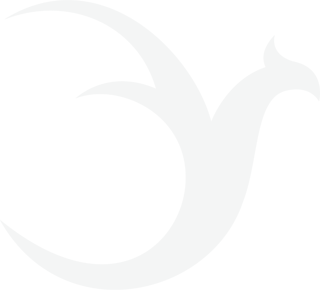 The Garuda